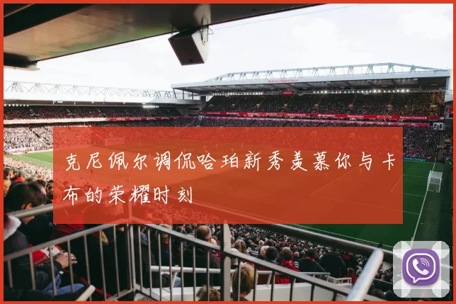 克尼佩尔调侃哈珀新秀羡慕你与卡布的荣耀时刻